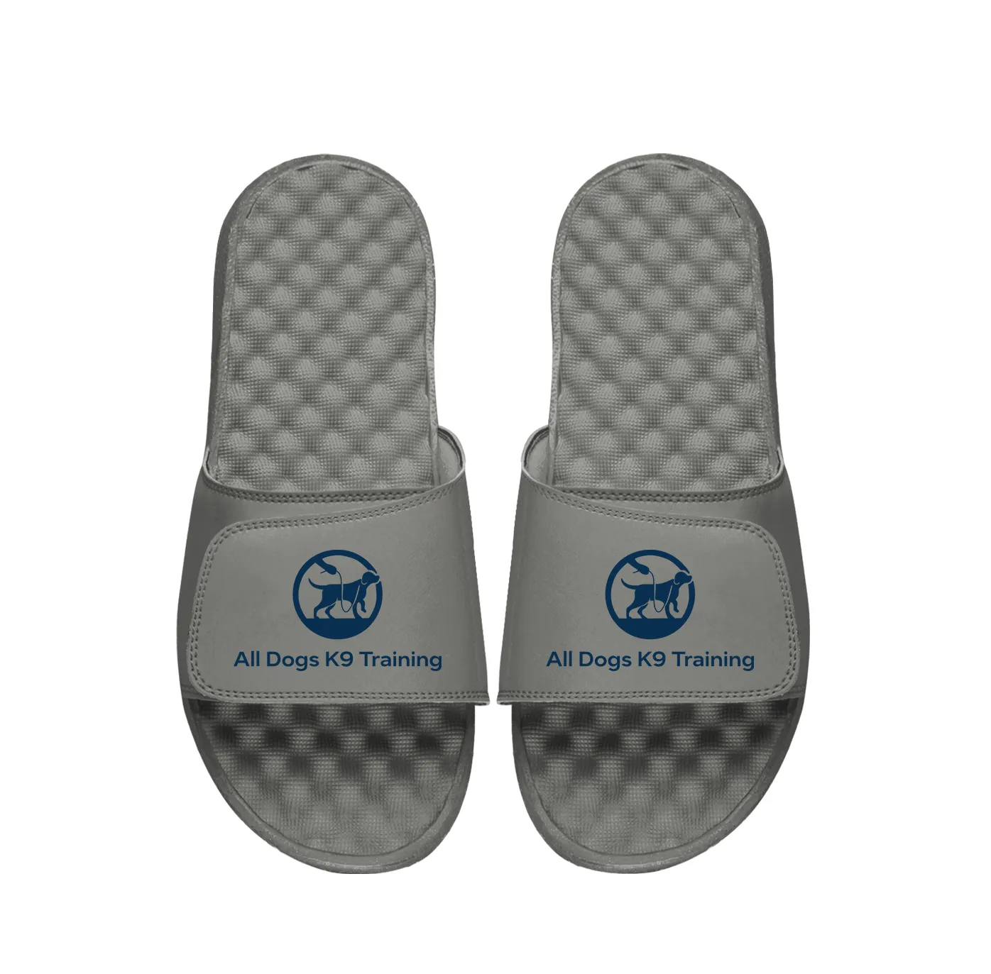 All Dogs K9 Training Primary PERSONALIZE Slides