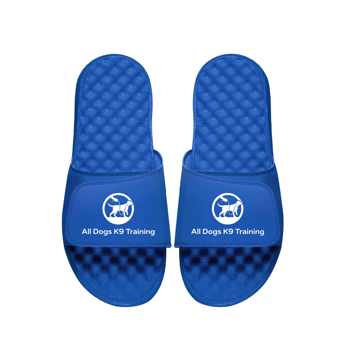 All Dogs K9 Training Primary PERSONALIZE Slides