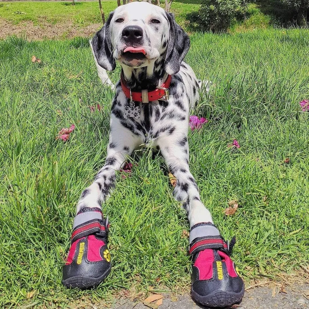 Dog Shoes For Walking