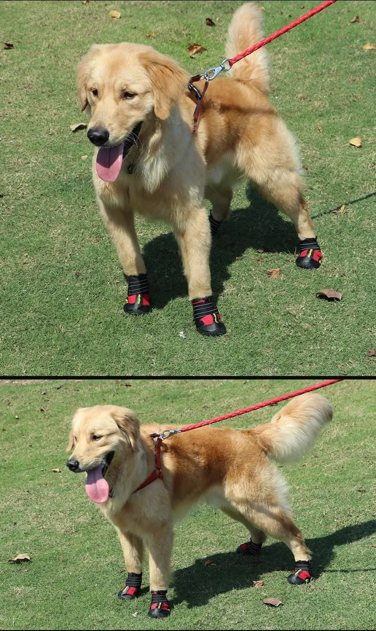 Dog Shoes For Walking