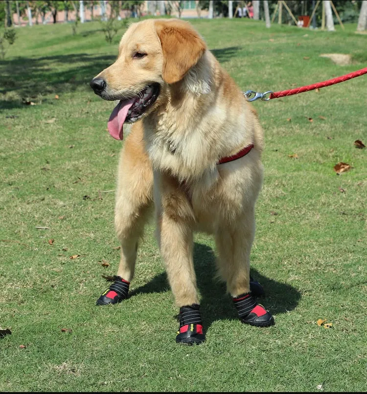 Dog Shoes For Walking