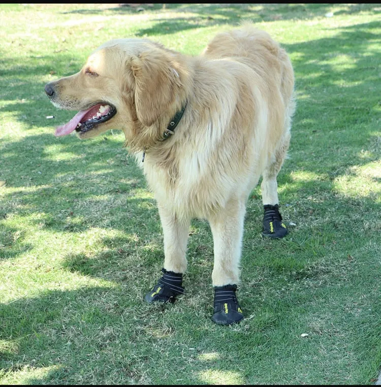 Dog Shoes For Walking