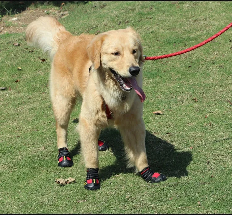 Dog Shoes For Walking