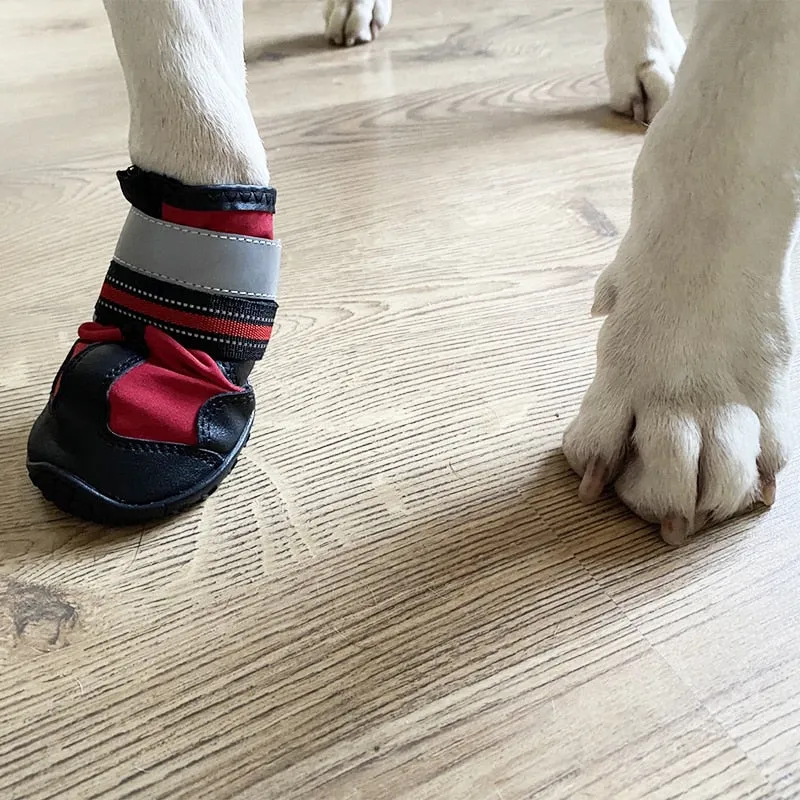 Dog Shoes For Walking